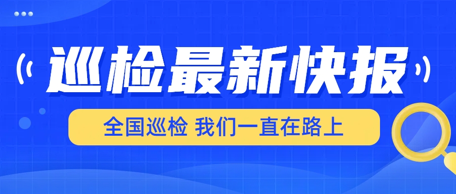 巡檢